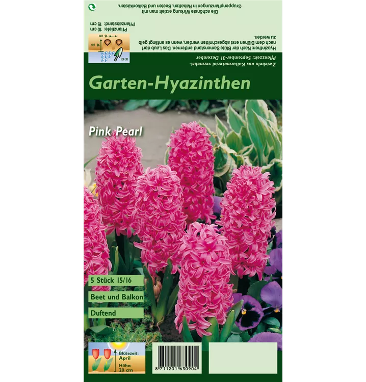 Hyacinthus orientalis 'Pink Pearl'