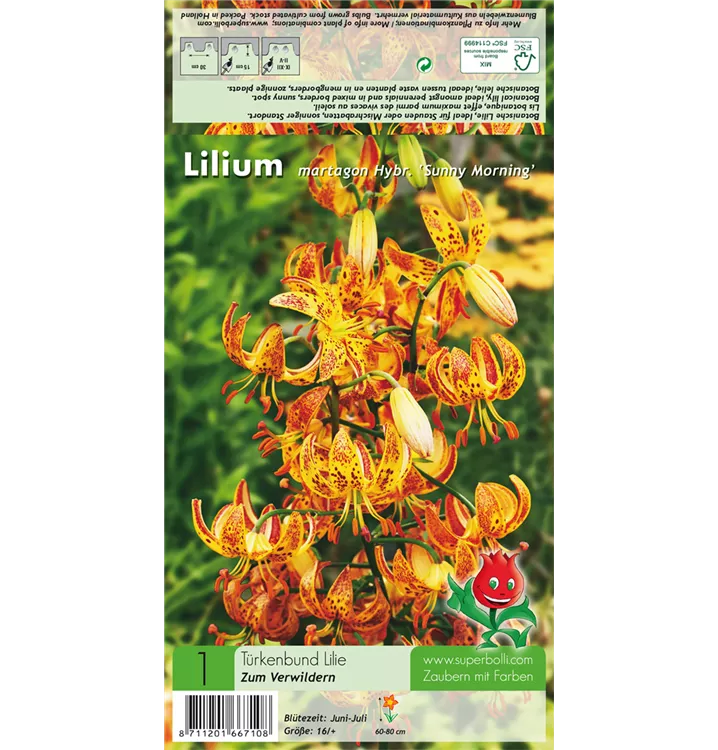 Lilium martagon 'Sunny Morning'