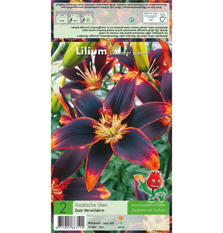 Lilium 'Forever Susan'®