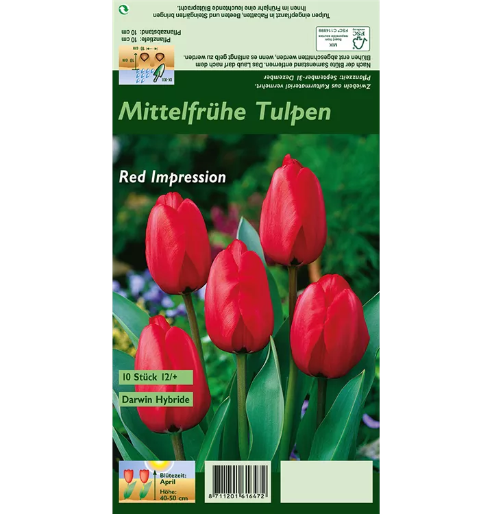 Tulipa 'Red Impression'