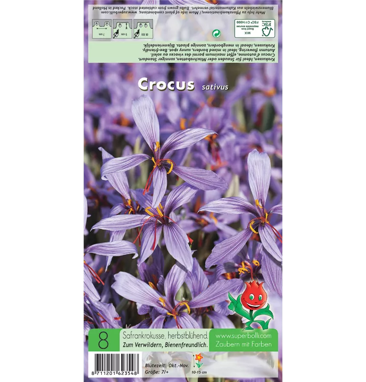 Crocus sativus