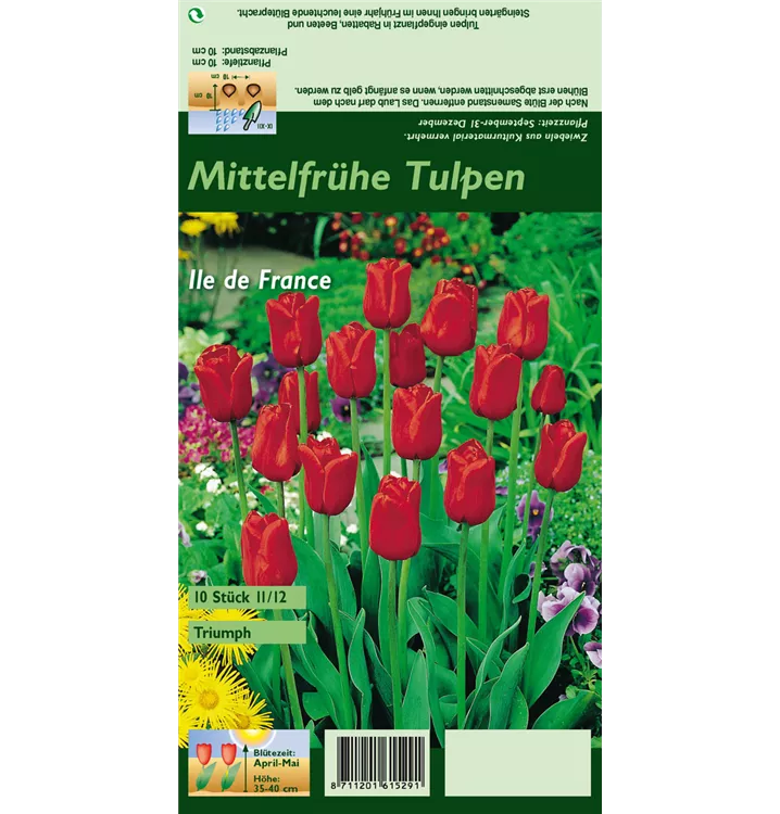 Tulipa 'Ile de France'