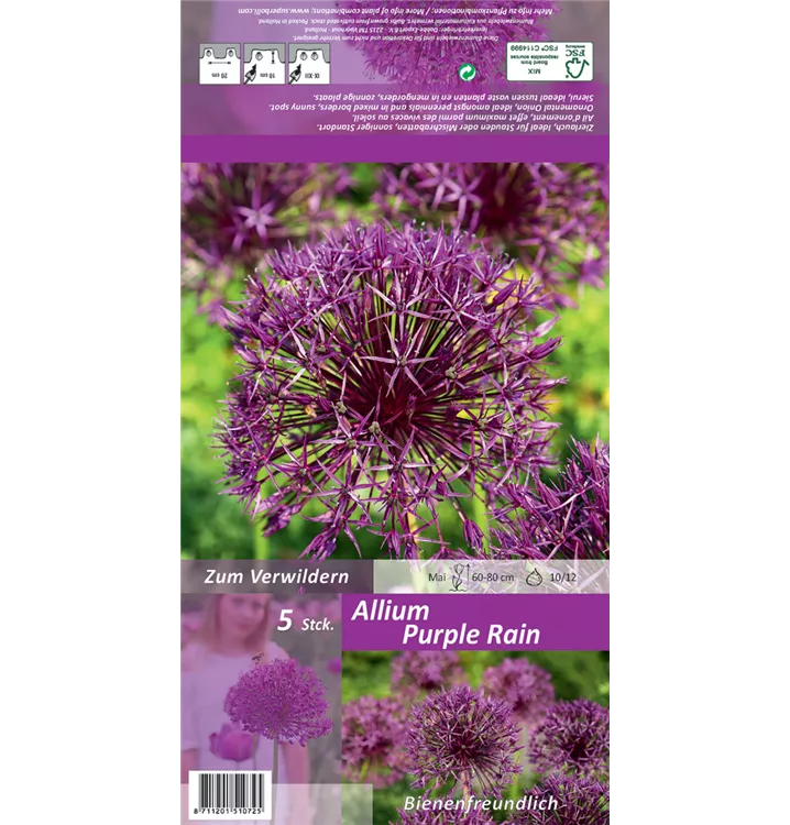 Allium 'Purple Rain'