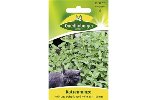 Gewöhnliche Katzenminze-Samen