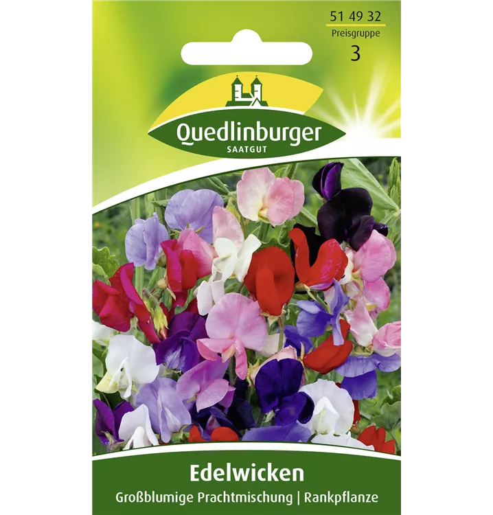 Lathyrus odoratus 'Großblumige Prachtmischung'