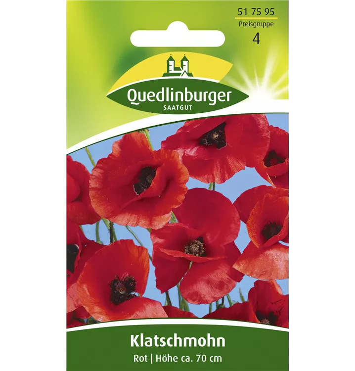 Papaver rhoeas, rot