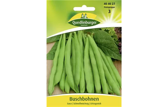 Buschbohnensamen 'Saxa'