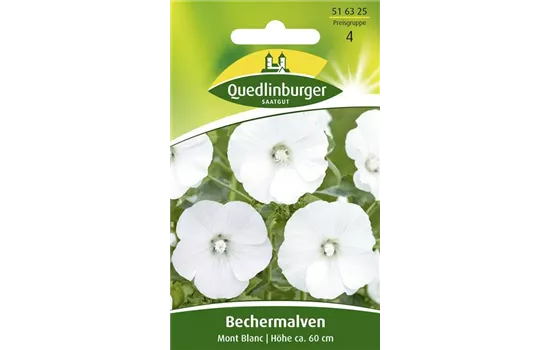 Bechermalvensamen 'Mont Blanc'