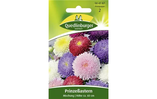 Gartenastersamen 'Prinzess'