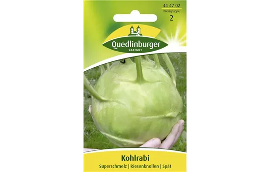 Kohlrabisamen 'Superschmelz'