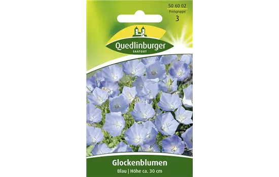 Karpaten-Glockenblume-Samen