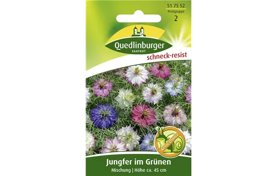 Jungfer im Grünen-Samen