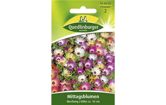 Mittagsblumensamen