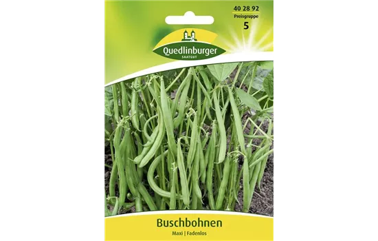 Buschbohnensamen 'Maxi'