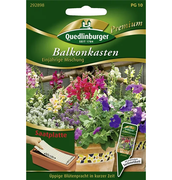 Balkonblumen, einjährig