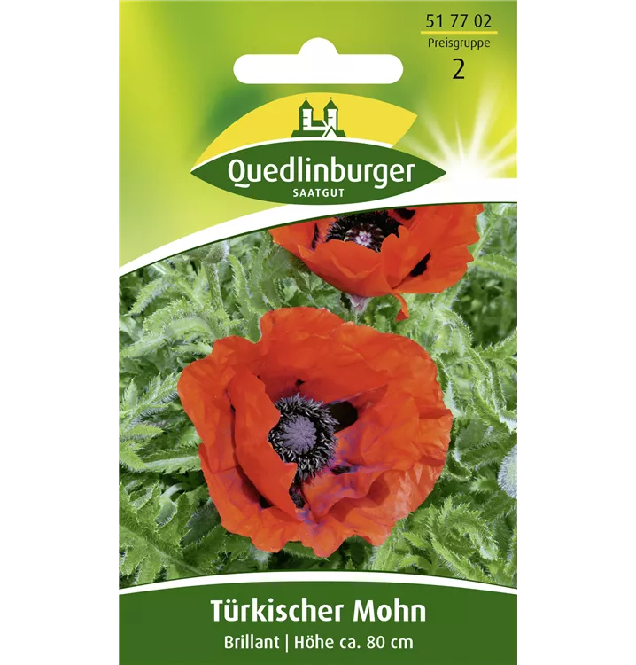 Papaver orientale 'Brillant'