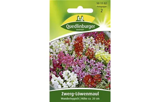 Löwenmaulsamen 'Wunderteppich'