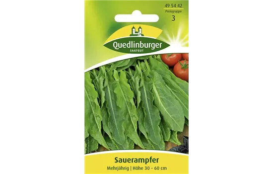 Großer Sauerampfer-Samen