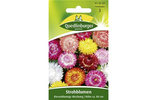 Strohblumensamen 'Riesenblumige Mischung'