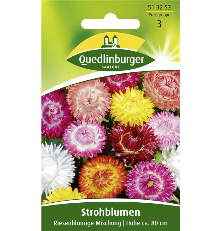 Helichrysum bracteatum 'Riesenblumige Mischung'