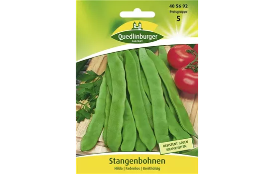 Stangenbohnensamen 'Hilda'