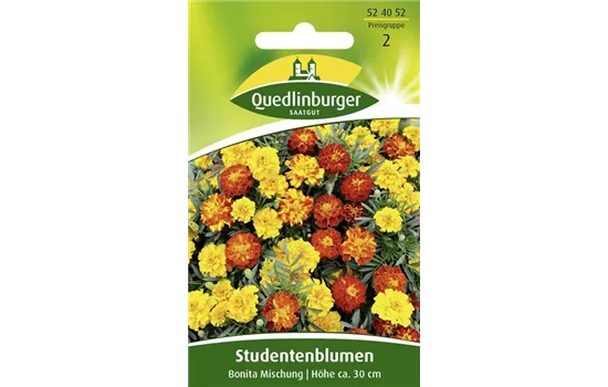 Studentenblumensamen 'Bonita-Mischung'