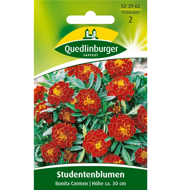 Tagetes patula 'Carmen'