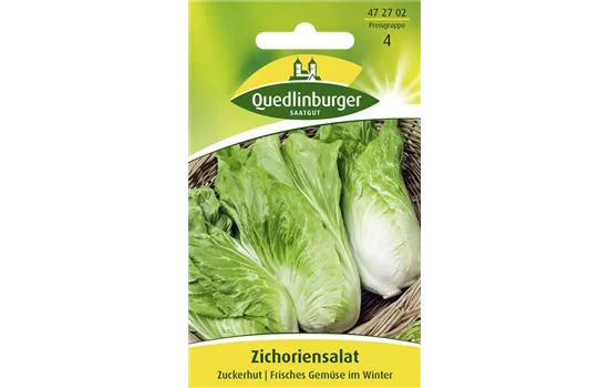 Zichoriesamen 'Zuckerhut'