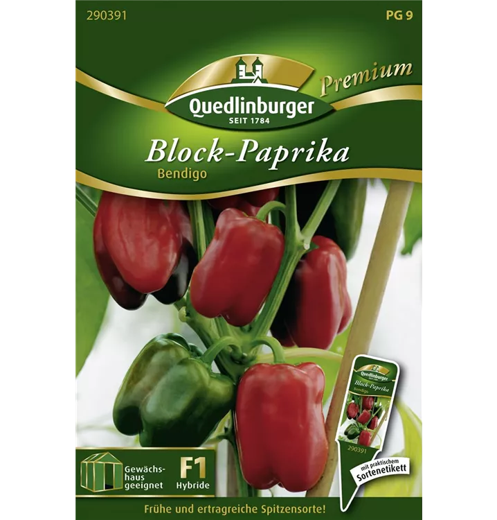 Capsicum annuum 'Bendigo F1', rot