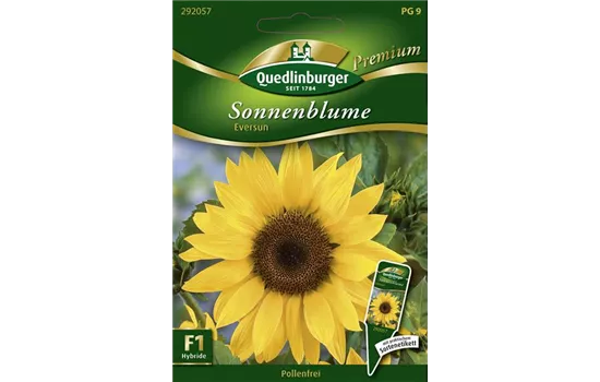 Sonnenblumennsamen 'Eversun'