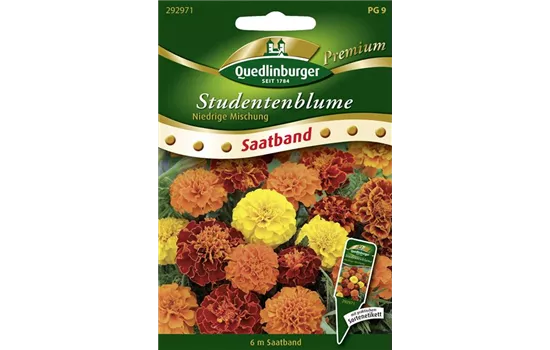 Studentenblumensamen 'Niedrige Mischung'