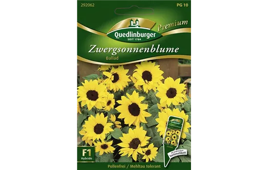 Sonnenblumensamen 'Ballad'