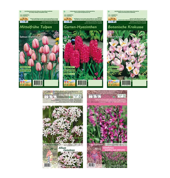 Blumenzwiebel Set 'Rosarotes Meer'