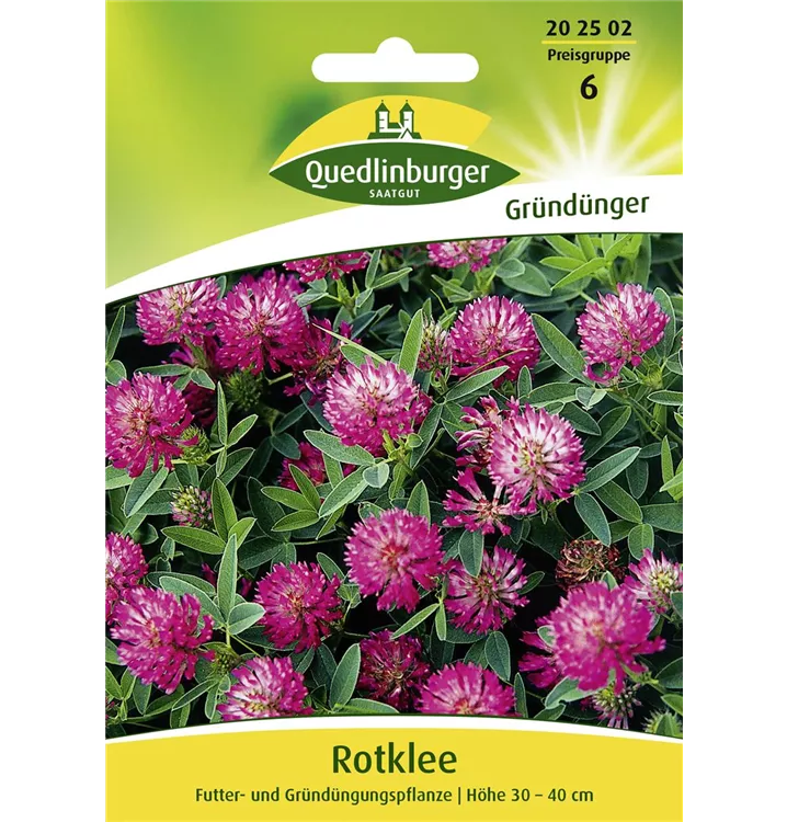 Trifolium pratense