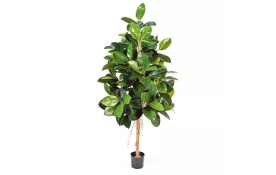 fleur ami FICUS ELASTICA Kunstpflanze