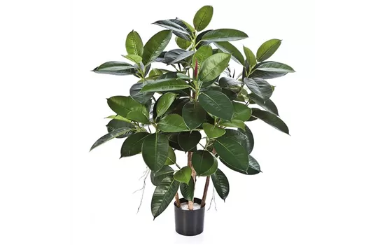 fleur ami FICUS ELASTICA Kunstpflanze