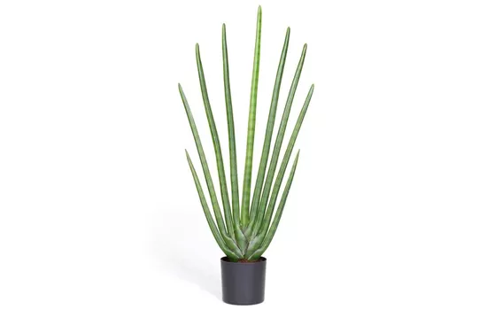 fleur ami SANSEVIERIA CYLINDRICA Kunstpflanze