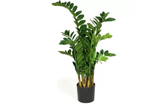 fleur ami ZAMIOCULCAS Kunstpflanze