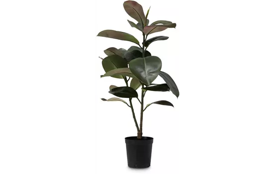 fleur ami FICUS ELASTICA Kunstpflanze