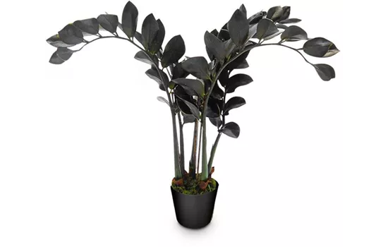 fleur ami ZAMIOCULCAS Kunstpflanze