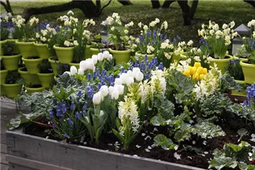 Möchten Sie Ihren Garten umstylen? So geht es ganz schnell 