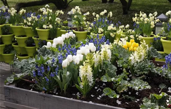 Möchten Sie Ihren Garten umstylen? So geht es ganz schnell 