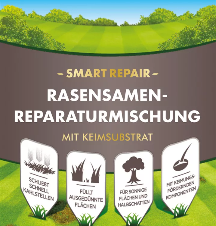 Westland Rasensamen Reparaturmischung "Smart Repair" 1 kg