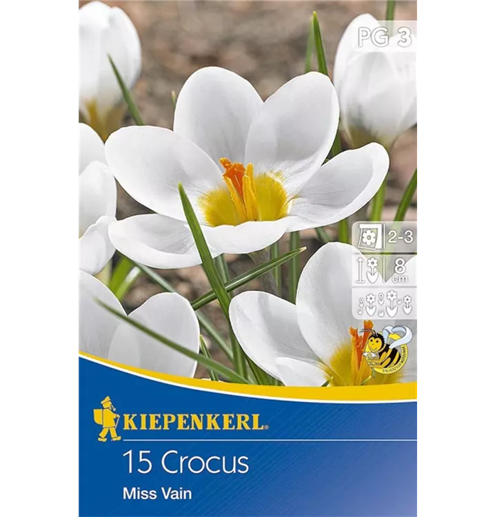 Krokusse