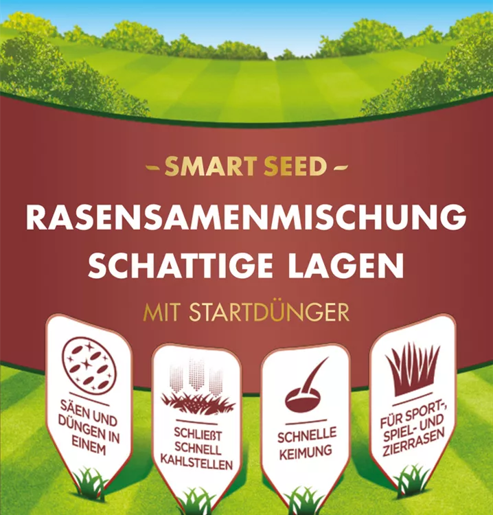 Westland Rasensamenmischung Schattige Lagen "Smart Seed" 500 g