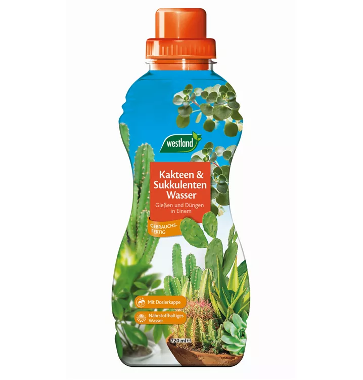 Westland Kakteen & Sukkulentenwasser 720 ml