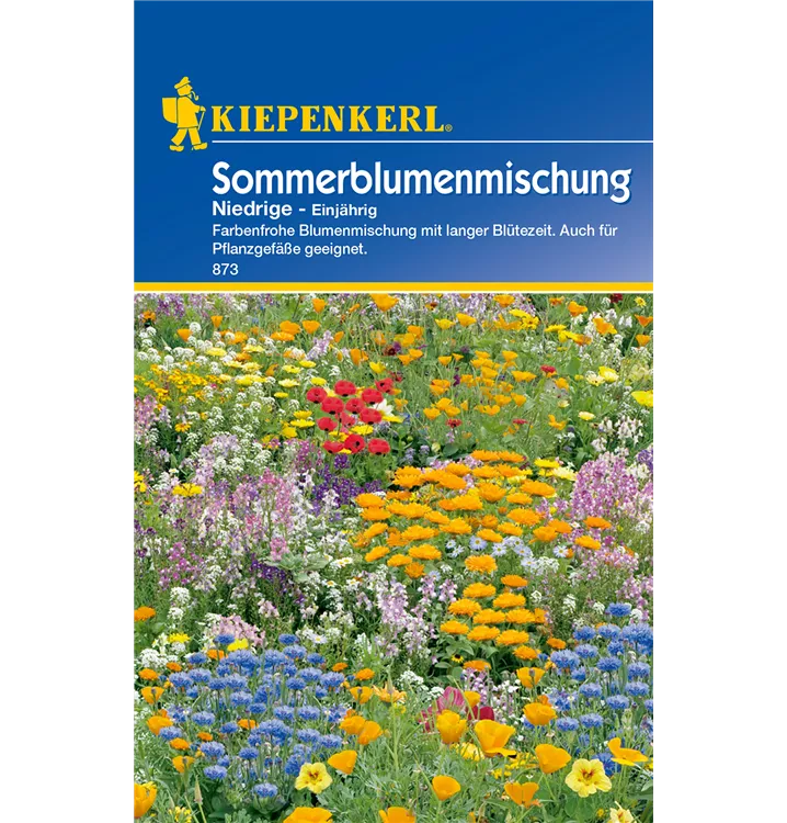 Sommerblumen, niedrig