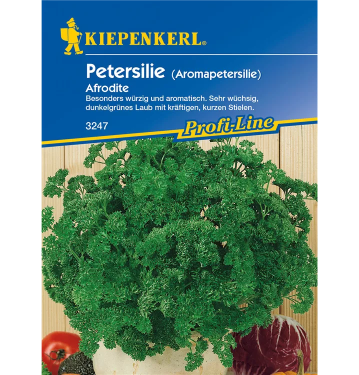 Petroselinum crispum 'Aphrodite'