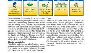 Bildvorschau