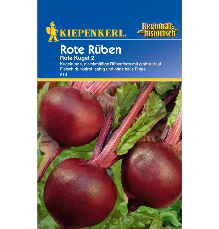 Beta vulgaris ssp. vulgaris 'Rote Kugel 2'